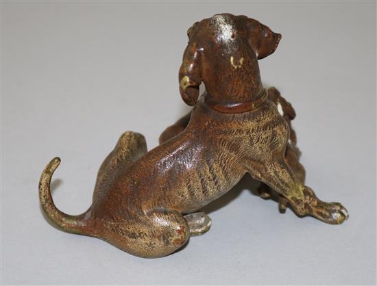 A late 19th century Austrian cold painted bronze group of a dog with two pups, H.3.25in.